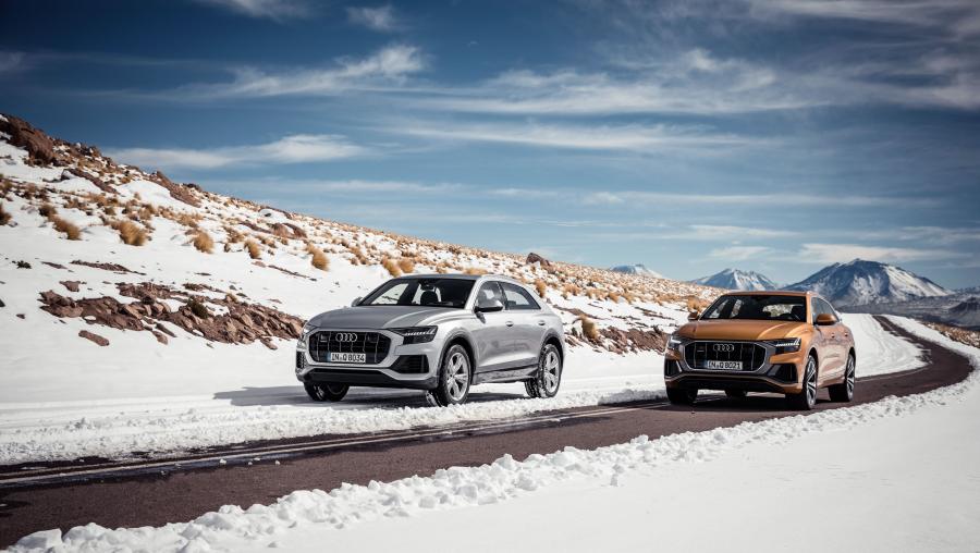  Audi Q8 50 TDI Quattro 2018 года  (WW) (фото 21 из 25)